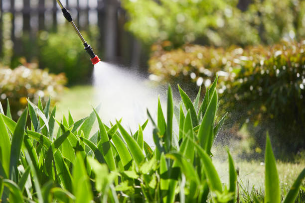 24/7 Emergency Mosquito Control experts in Park Rapids, MN